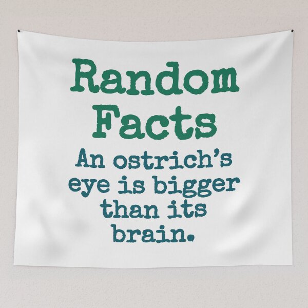 Item preview, An Ostrich's Eye Is Bigger - Trivia Fact designed and sold by CrankyOldDude.