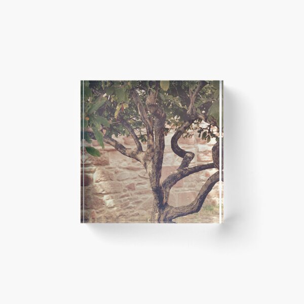 Item preview, Small Needs designed and sold by Denise Abé.