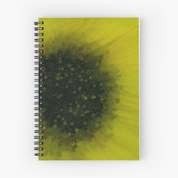 Item preview, Collect Concentrated Shadows designed and sold by Denise Abé.