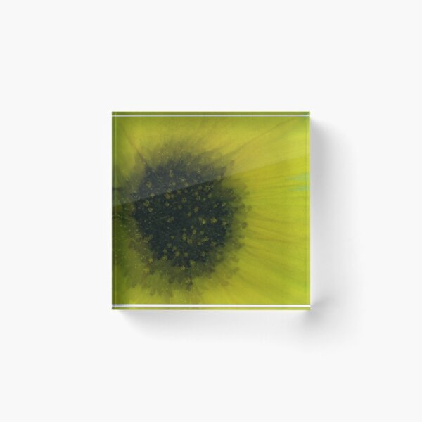 Item preview, Collect Concentrated Shadows designed and sold by Denise Abé.
