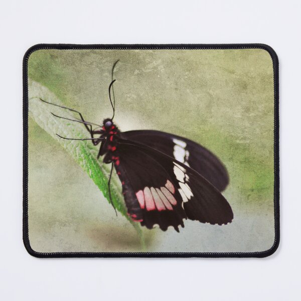Item preview, Always Stand Out designed and sold by Denise Abé.