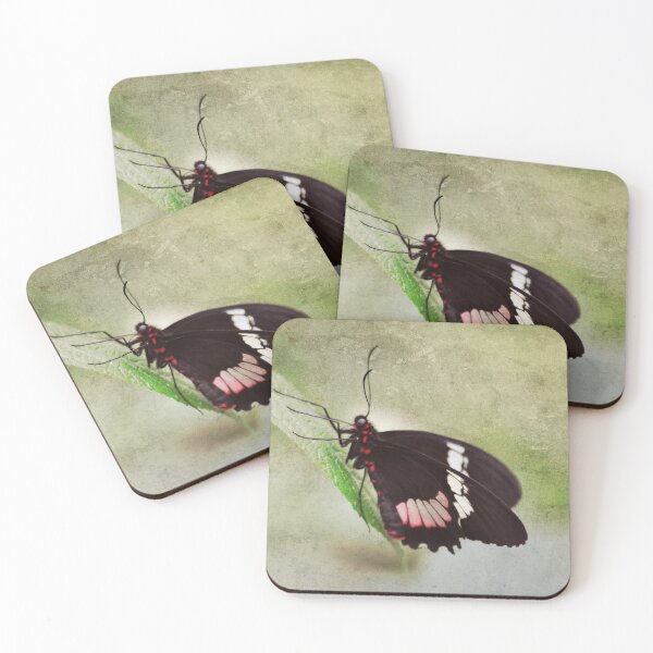 Item preview, Always Stand Out designed and sold by Denise Abé.