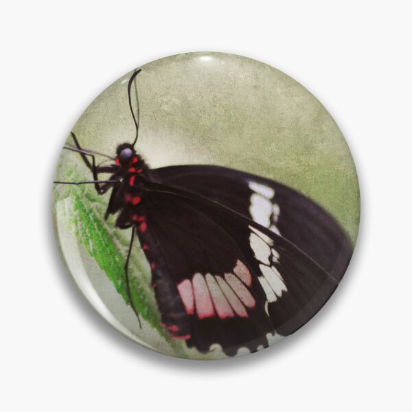 Item preview, Always Stand Out designed and sold by Denise Abé.