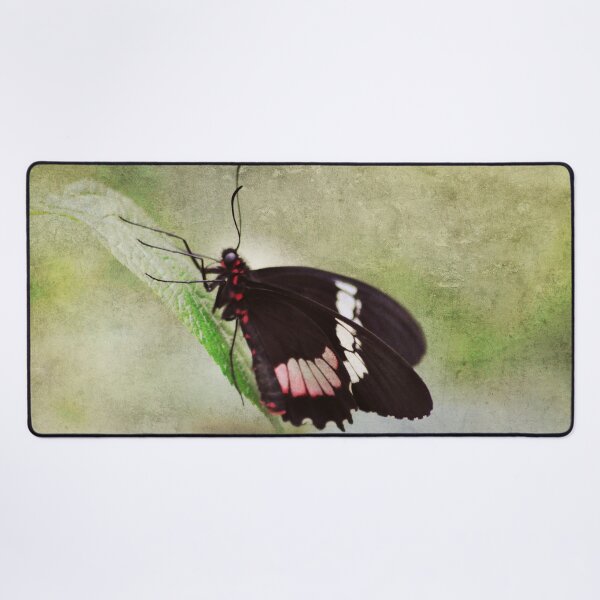 Item preview, Always Stand Out designed and sold by Denise Abé.