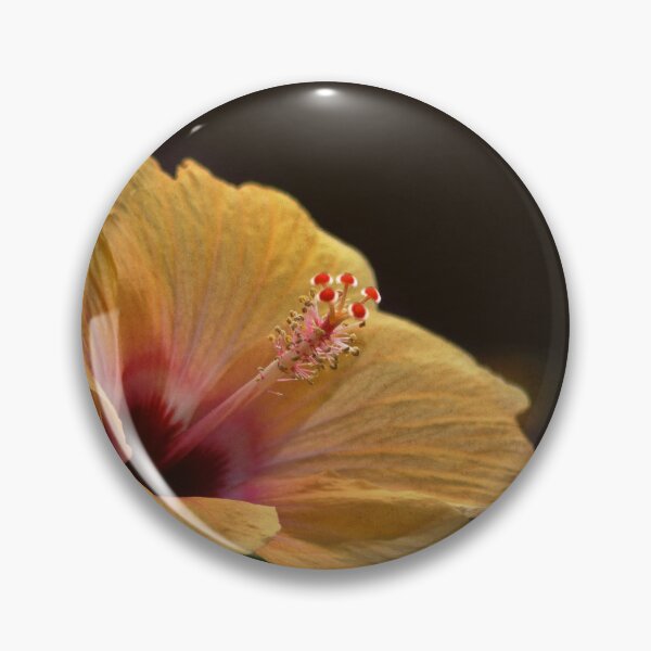 Item preview, Light Synchrony designed and sold by Denise Abé.