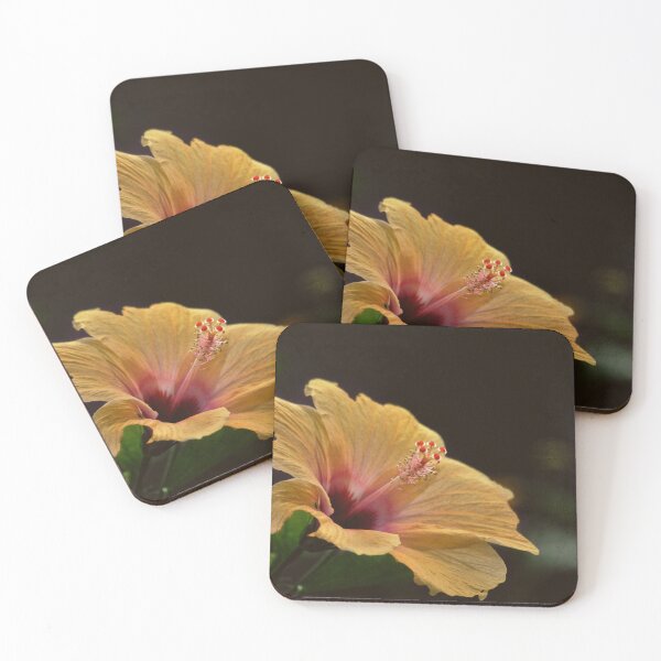 Item preview, Light Synchrony designed and sold by Denise Abé.