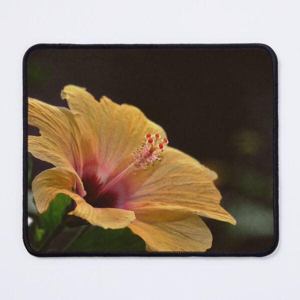 Item preview, Light Synchrony designed and sold by Denise Abé.