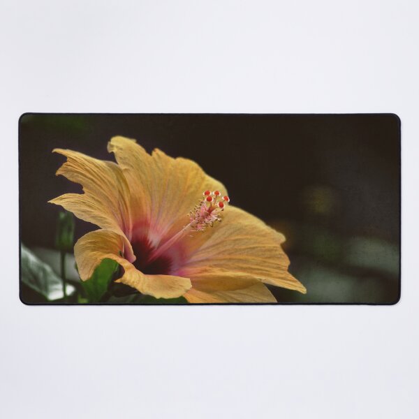 Item preview, Light Synchrony designed and sold by Denise Abé.