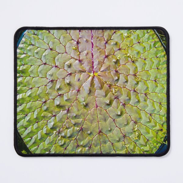Item preview, Nymphaea designed and sold by VelesPhoto.