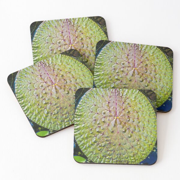 Item preview, Nymphaea designed and sold by VelesPhoto.
