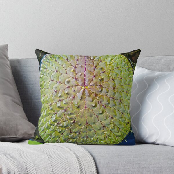 Item preview, Nymphaea designed and sold by VelesPhoto.