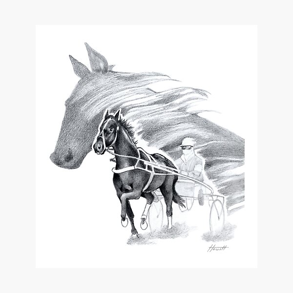 Trotting Up A Storm Photographic Print