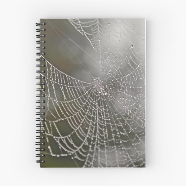 Item preview, Spider web droplets designed and sold by iam01110011.