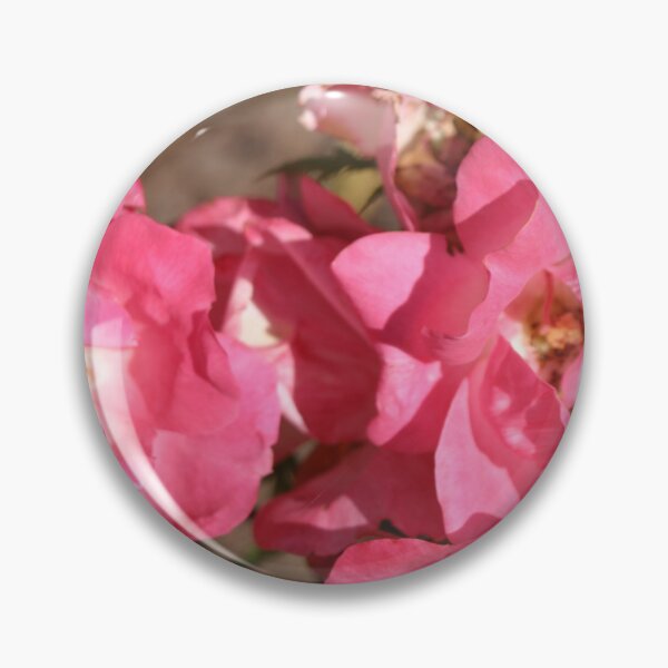Artikelvorschau, Rosa Wildrosenblüten entworfen und verkauft von 5x5 Adventures .