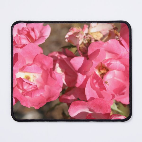 Item preview, Pink Wild Rose Flowers designed and sold by 5x5 Adventures .