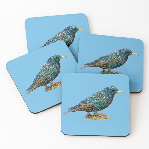Item preview, Beautiful Starling designed and sold by Dalyndigital Photography.
