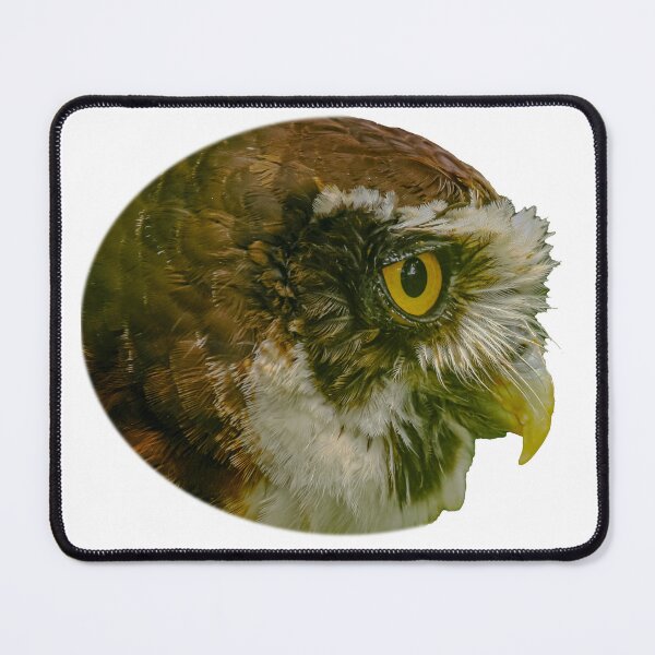Item preview, Portrait of a Spectacled Owl designed and sold by Dalyndigital Photography.