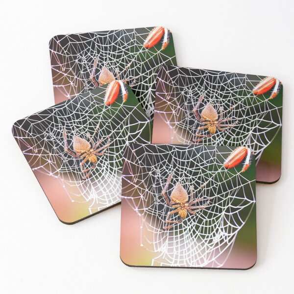 Item preview, Spider Web Color designed and sold by Wilcherito.