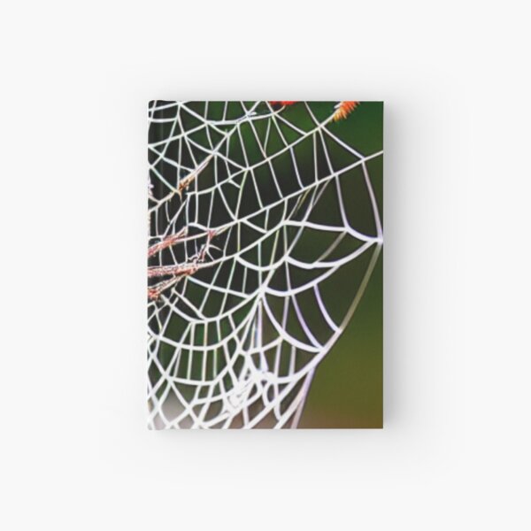 Item preview, Spider Web Color designed and sold by Wilcherito.
