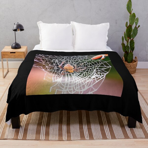 Item preview, Spider Web Color designed and sold by Wilcherito.