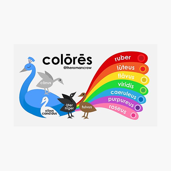 Item preview, Colors in Latin designed and sold by TheRomanCrow.