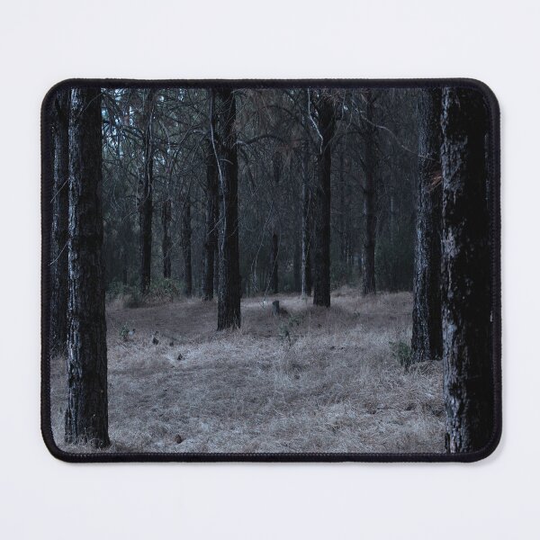 Item preview, I Know What You Did Last Winter.  designed and sold by M&M Photography.
