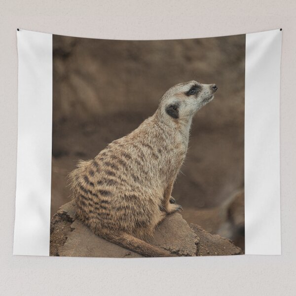 Item preview, Meerkat  designed and sold by Diego Re.