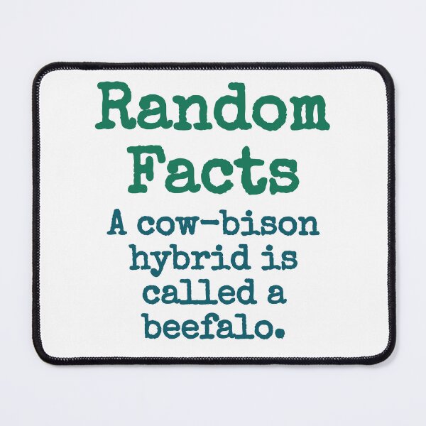 Item preview, A Cow-Bison Hybrid Is Called A Beefalo - Trivia Fact designed and sold by CrankyOldDude.