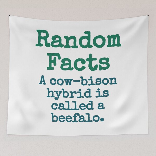 Item preview, A Cow-Bison Hybrid Is Called A Beefalo - Trivia Fact designed and sold by CrankyOldDude.