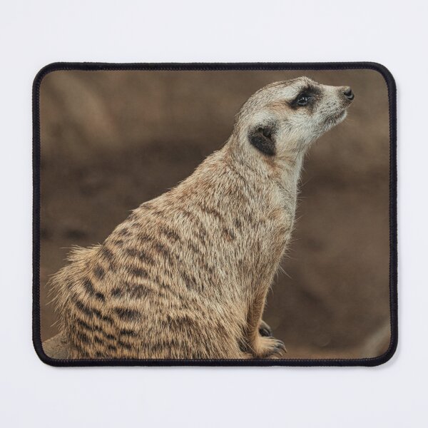 Item preview, Meerkat  designed and sold by Diego Re.