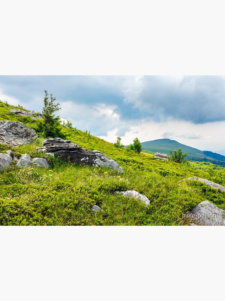 Thumbnail 3 of 3, Sticker, coniferous tree on a mountain top at sunrise designed and sold by mike-pellinni.