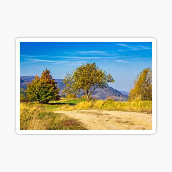 trees near the meadow path in autumn mountains Sticker