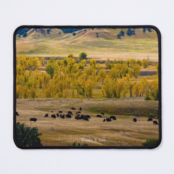 Item preview, Buffalo Roaming By Brandon Cable designed and sold by BrandonArtWorld.