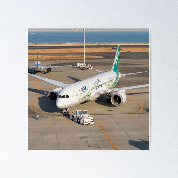 新しく着き ANA 787 ポスター | albertaconcussioncentre.ca