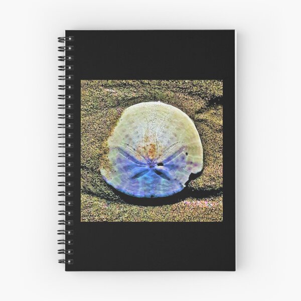 Item preview, Sand Dollar designed and sold by craftsbydaphy.