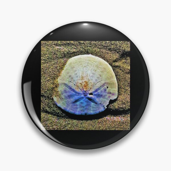 Item preview, Sand Dollar designed and sold by craftsbydaphy.