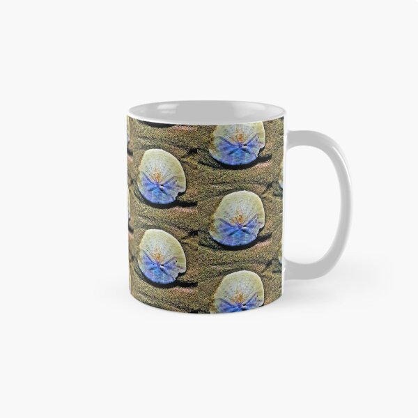 Item preview, Sand Dollar designed and sold by craftsbydaphy.