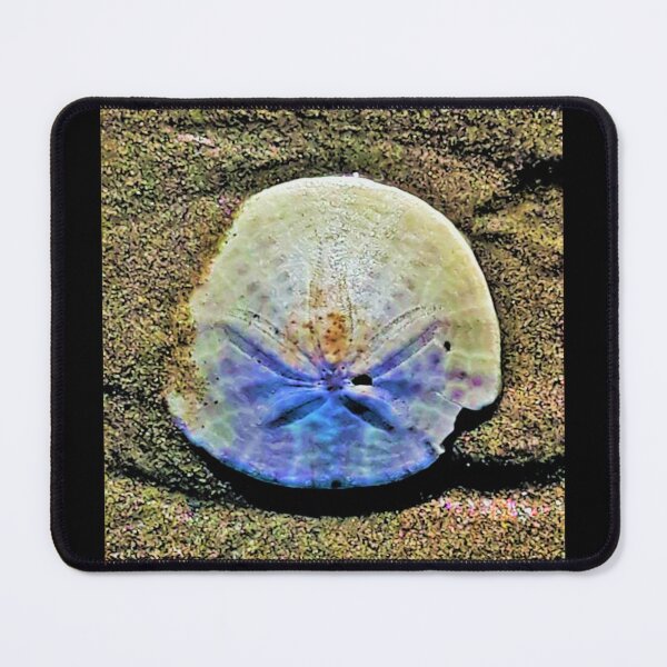Item preview, Sand Dollar designed and sold by craftsbydaphy.