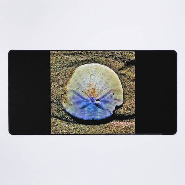 Item preview, Sand Dollar designed and sold by craftsbydaphy.