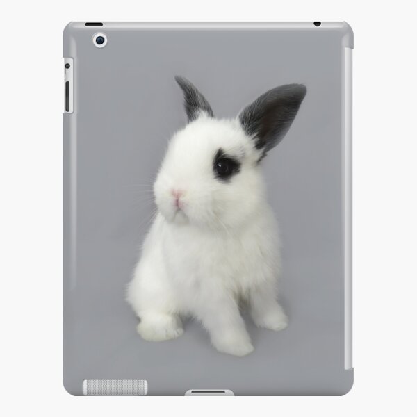 Little Rabbit iPad Snap Case