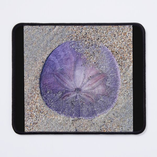 Item preview, Living Sand Dollar designed and sold by craftsbydaphy.