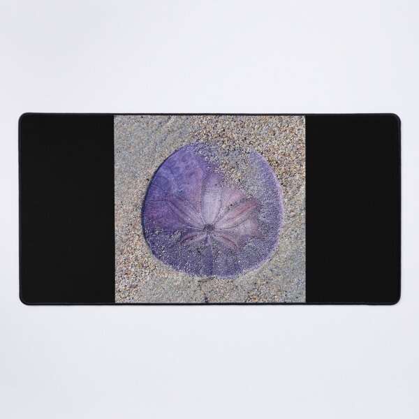 Item preview, Living Sand Dollar designed and sold by craftsbydaphy.