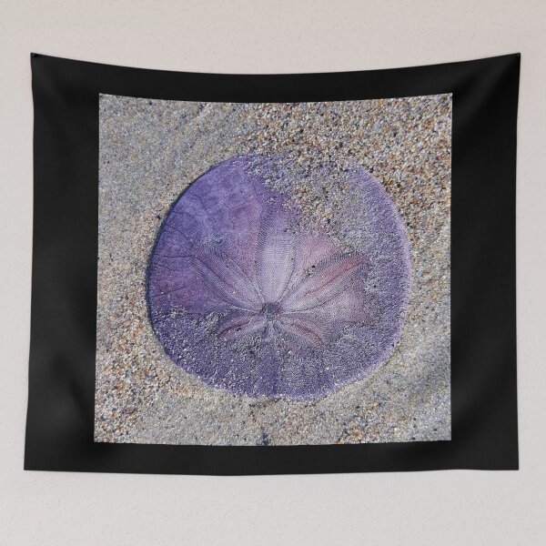 Item preview, Living Sand Dollar designed and sold by craftsbydaphy.