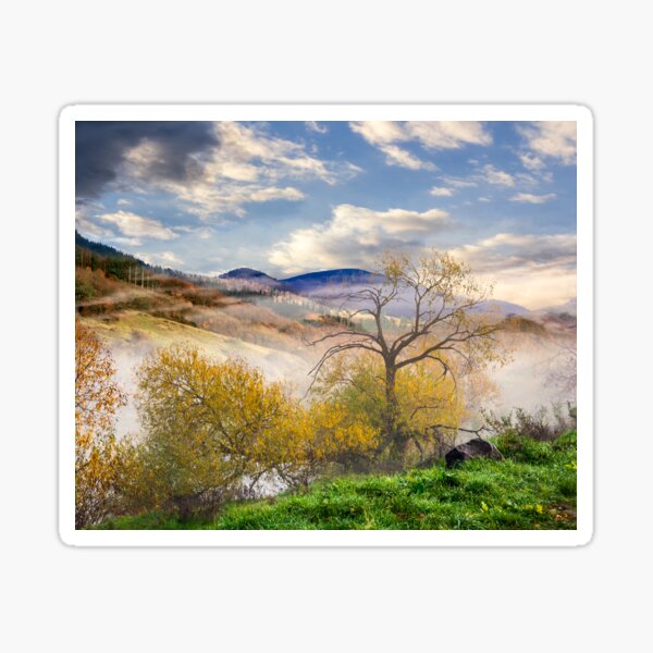 yellow trees in foggy mountains Sticker