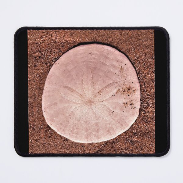 Item preview, Sand Dollar Pink designed and sold by craftsbydaphy.