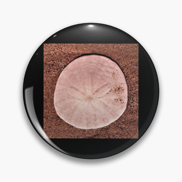 Item preview, Sand Dollar Pink designed and sold by craftsbydaphy.