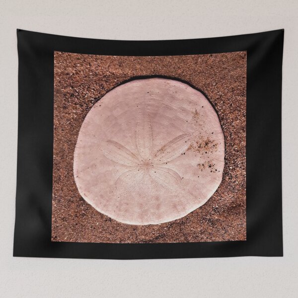 Item preview, Sand Dollar Pink designed and sold by craftsbydaphy.