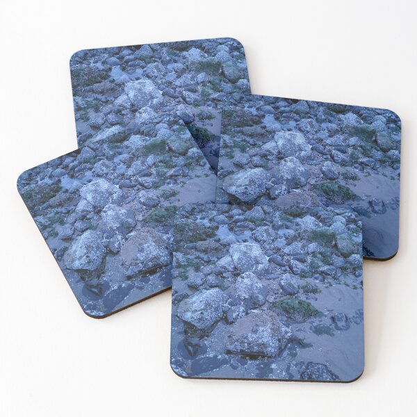 Item preview, West Coast Tide Pool designed and sold by JustBStudios.