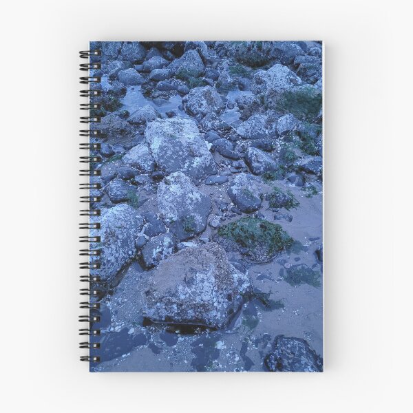 Item preview, West Coast Tide Pool designed and sold by JustBStudios.