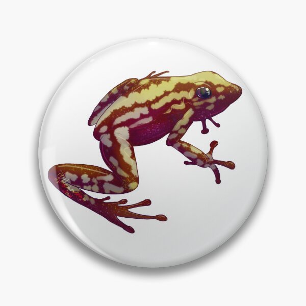 Item preview, Candycane Frog designed and sold by Metamorphmigus.